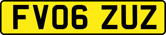 FV06ZUZ