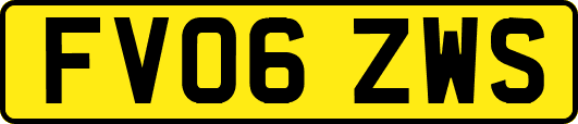 FV06ZWS