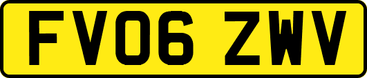 FV06ZWV