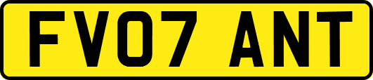 FV07ANT