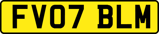 FV07BLM