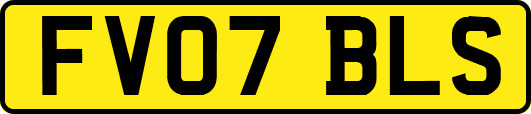 FV07BLS