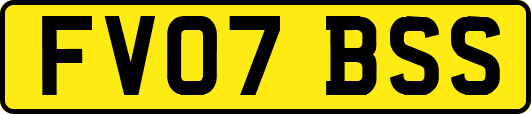 FV07BSS