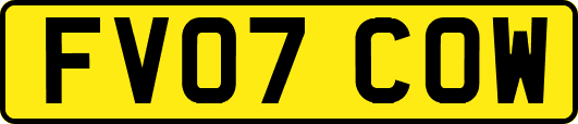 FV07COW