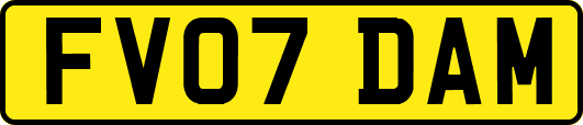 FV07DAM