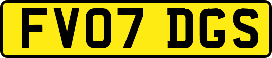 FV07DGS