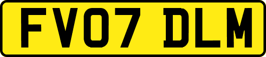 FV07DLM