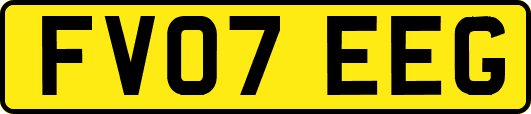 FV07EEG