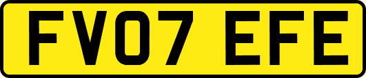FV07EFE