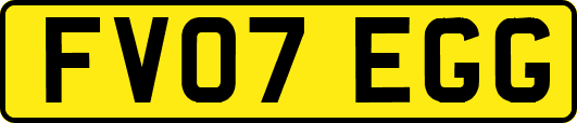 FV07EGG