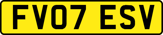 FV07ESV