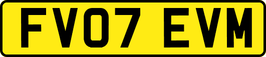 FV07EVM