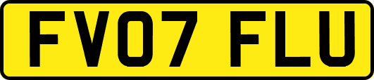 FV07FLU
