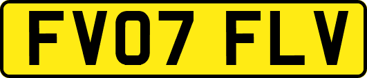 FV07FLV