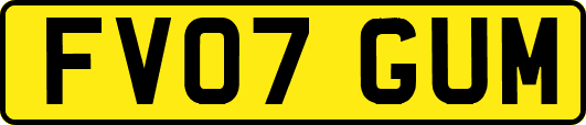 FV07GUM