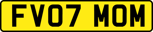 FV07MOM