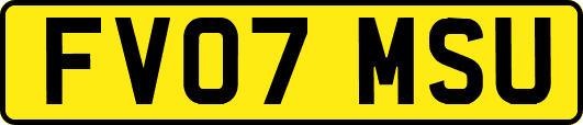 FV07MSU
