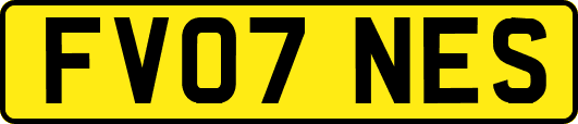 FV07NES
