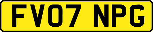 FV07NPG