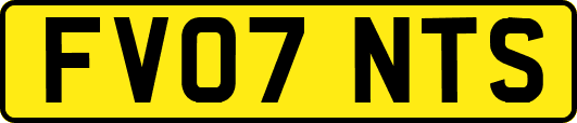FV07NTS