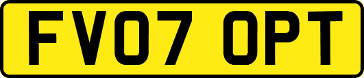 FV07OPT