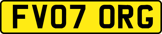 FV07ORG