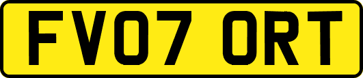FV07ORT