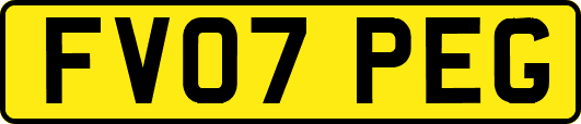 FV07PEG