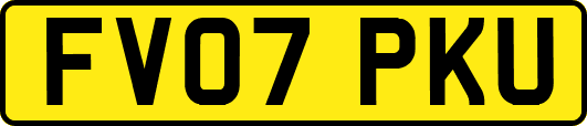 FV07PKU