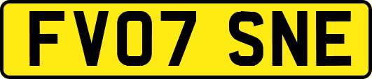 FV07SNE