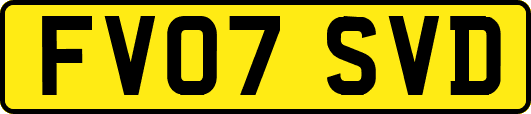 FV07SVD