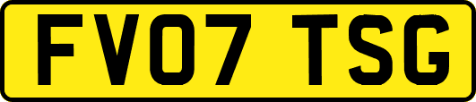FV07TSG
