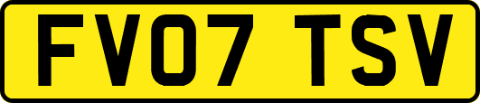 FV07TSV