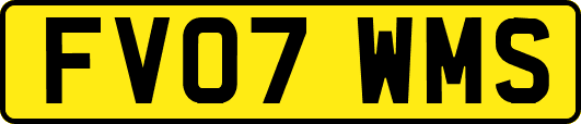 FV07WMS