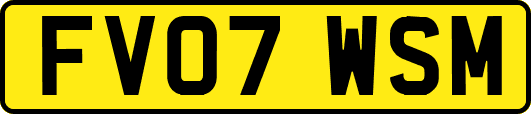 FV07WSM