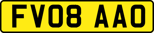 FV08AAO