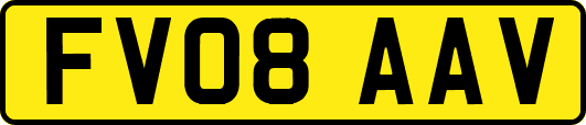 FV08AAV
