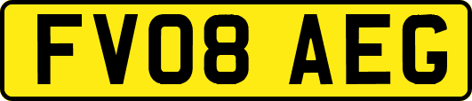 FV08AEG