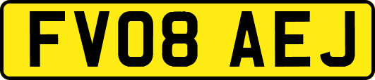 FV08AEJ