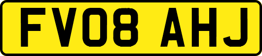 FV08AHJ
