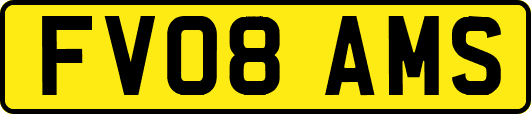 FV08AMS