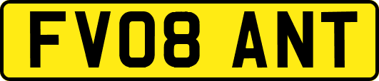 FV08ANT