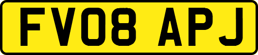 FV08APJ