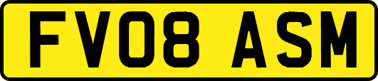 FV08ASM