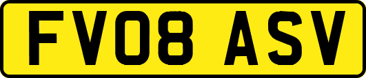 FV08ASV