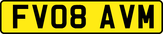 FV08AVM