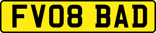 FV08BAD