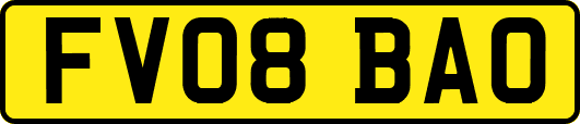 FV08BAO
