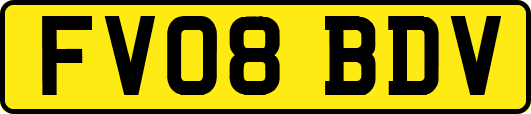 FV08BDV