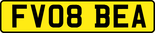 FV08BEA